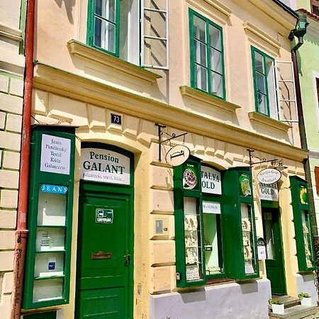 Apartman Galant Český Krumlov Eksteriør bilde